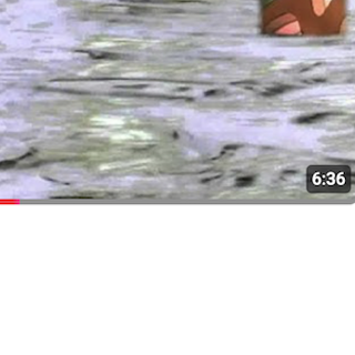 Video 1